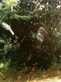 10404466_1510883072487126_5284154131802146401_n